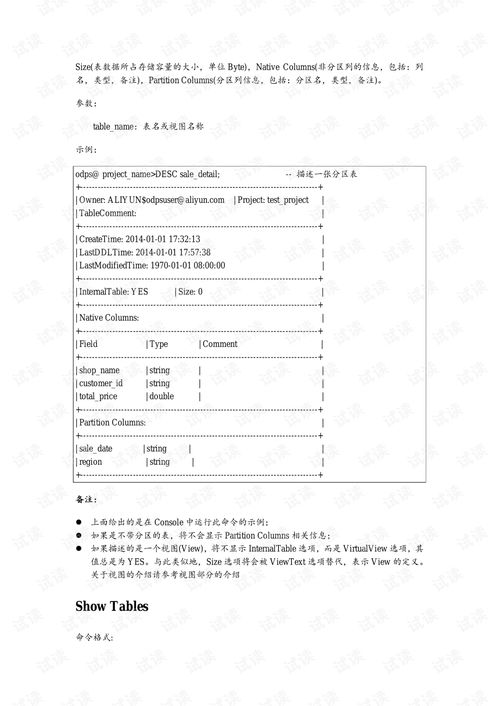 阿里巴巴开放数据处理服务ODPS 驱动企业智能化转型的强大引擎