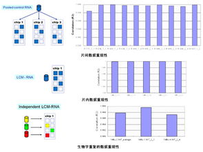 上海伯豪生物技术 SBC miRNA芯片服务促销行动与全方位实验技术解决方案